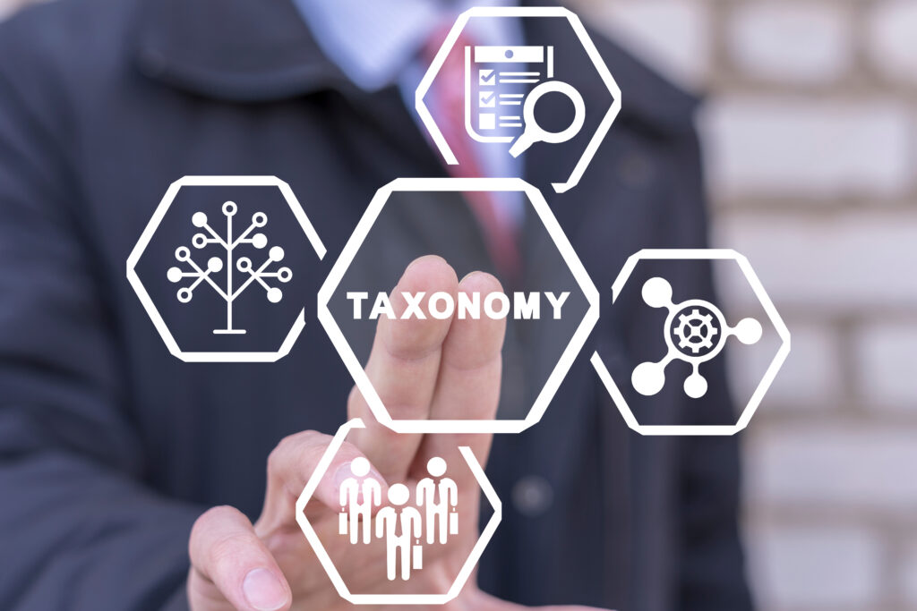 Integrate taxonomies, terminology and translation